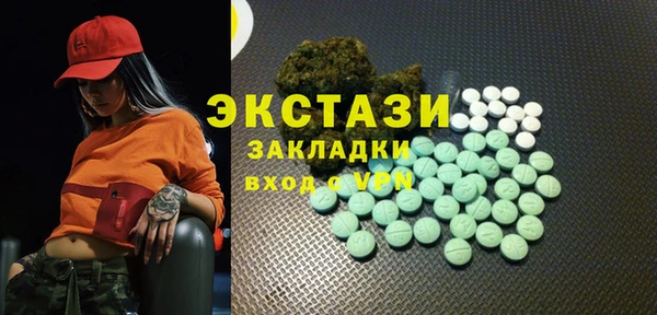 молекула духа Богородицк