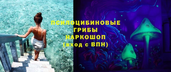 молекула духа Богородицк