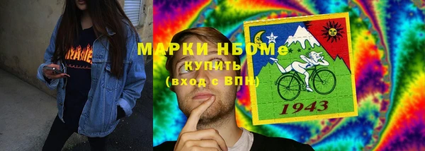молекула духа Богородицк