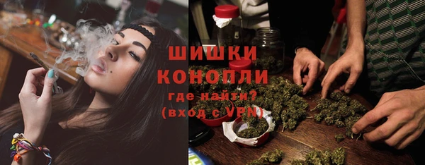 стафф Богородск